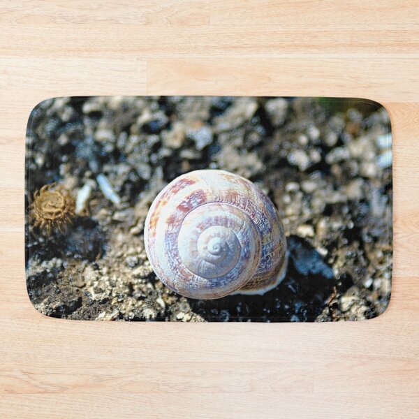 Item preview, Land Snail Shell Closeup designed and sold by worldways.