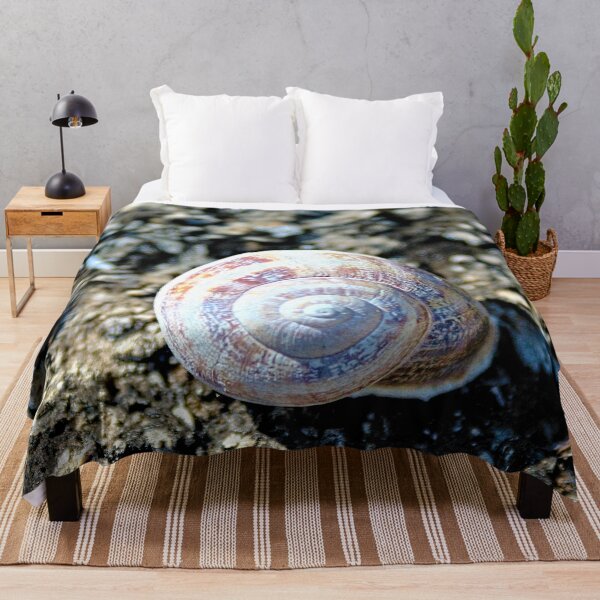 Item preview, Land Snail Shell Closeup designed and sold by worldways.