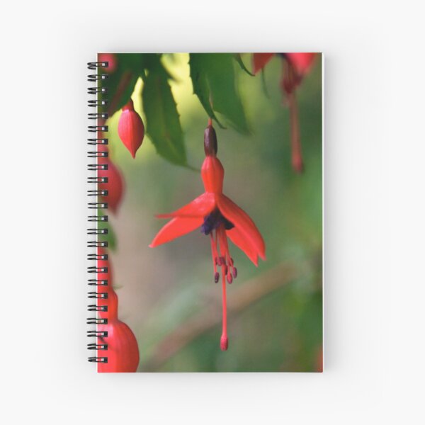 Single Wild Fuchsia Flower, Loch Na Fooey Spiral Notebook
