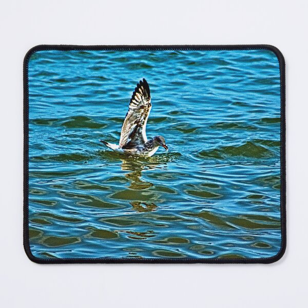 Item preview, Seagull Coastal Bird Bathing at Sea designed and sold by worldways.