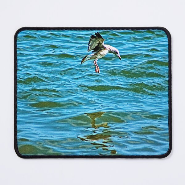 Item preview, Seagull Coastal Bird Going for a Dip designed and sold by worldways.