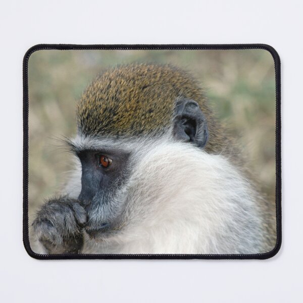 Item preview, Wild Cute Vervet Monkey Portrait designed and sold by worldways.