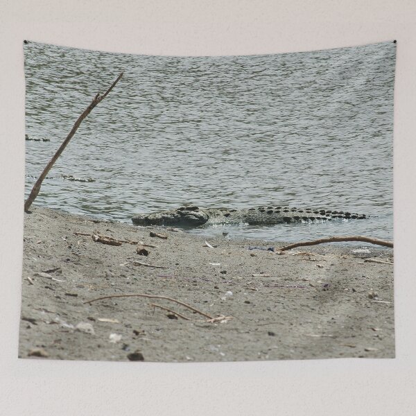 Aperçu de l'œuvre African Nile Crocodile River Bank, la faune, l'Éthiopie, l'Afrique créée et vendue par worldways.