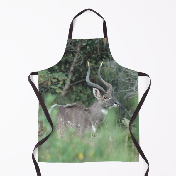 Item preview, Hembra Montaña Antílope Nyala Montañas Bala Etiopía designed and sold by worldways.