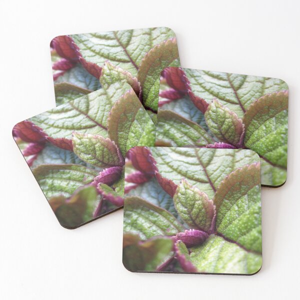 Item preview, Soft Leaves designed and sold by Nathan Gruber.