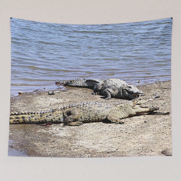 Item preview, Two Nile Crocodiles Sunning Riverbank, Africa designed and sold by worldways.