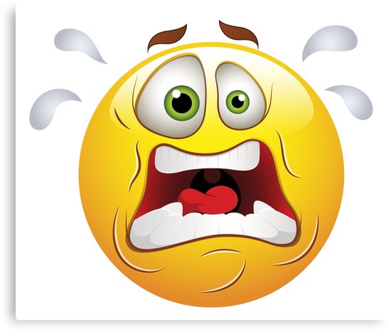 Scared Smiley Scared Emoticon With A Dropped Jaw Royalty Free Vector Image Schot Hinaries56