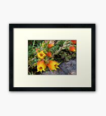 Jingle Bells Framed Print