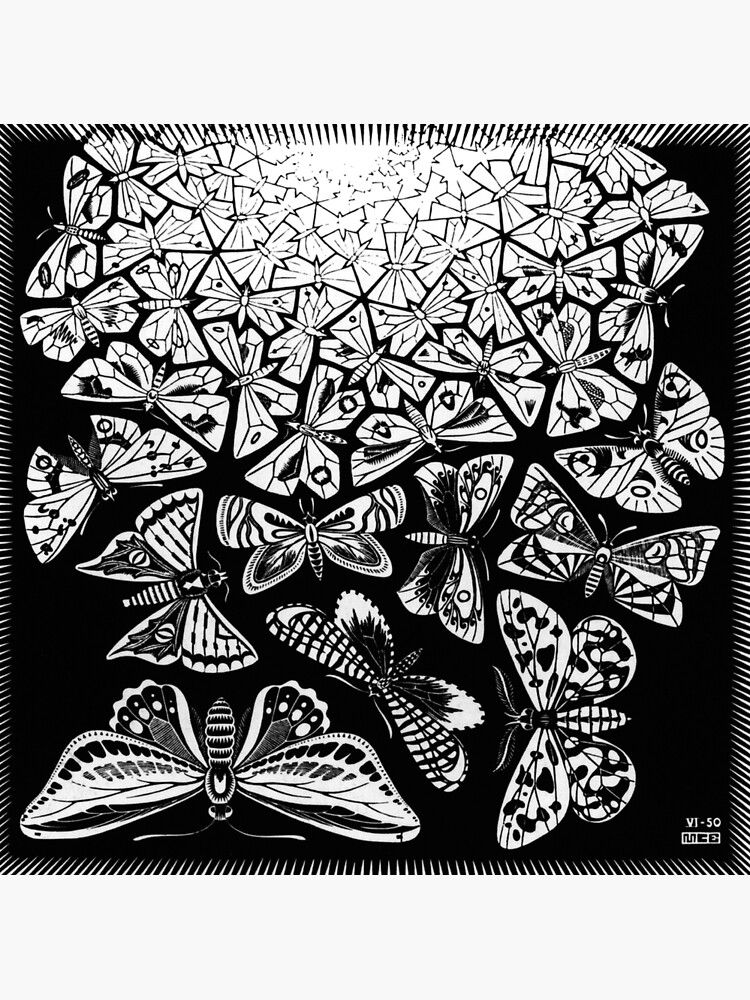 Disover Artwork By Maurits cornelis Escher ( 1898 - 1972 ), Netherlands Canvas