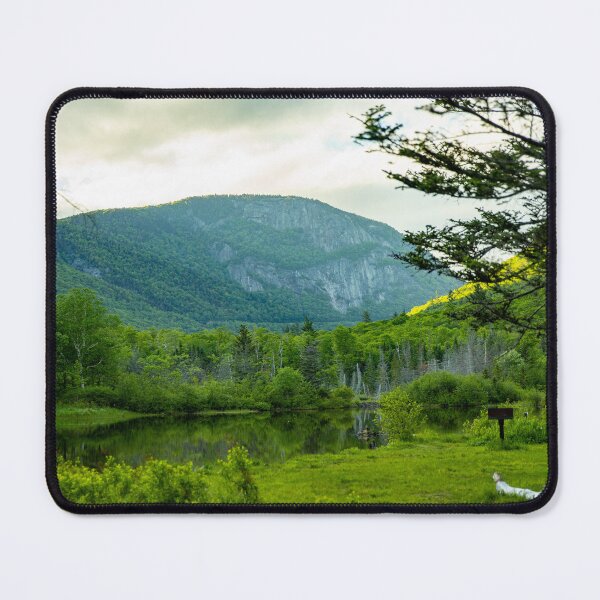 Item preview, So Green designed and sold by Daniel's Destinations.