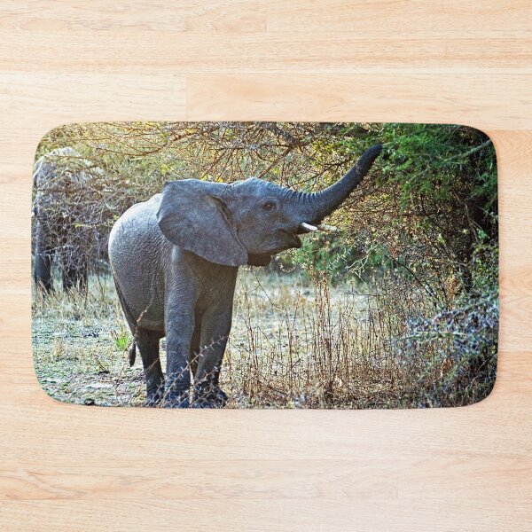 Item preview, African Baby Elephant Acacia Tree Forest Africa designed and sold by worldways.