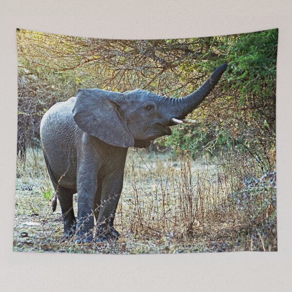 Item preview, African Baby Elephant Acacia Tree Forest Africa designed and sold by worldways.