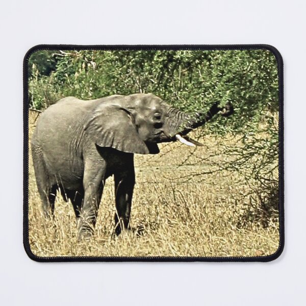 Item preview, Little African Elephant Acacia Tree Safari Africa designed and sold by worldways.
