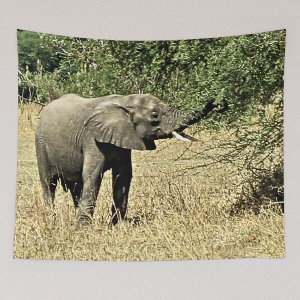 Item preview, Little African Elephant Acacia Tree Safari Africa designed and sold by worldways.