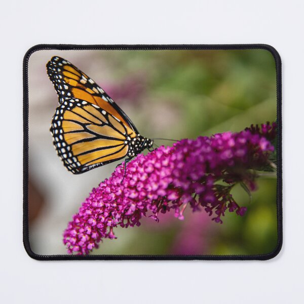Item preview, My Little Friend designed and sold by Daniel's Destinations.