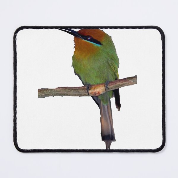Item preview, African Tropical Colorful Bird Perched on Tree designed and sold by worldways.