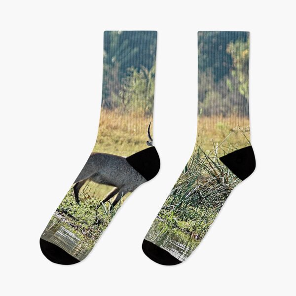 Item preview, Waterbuck Antelope River Bank Africa designed and sold by worldways.