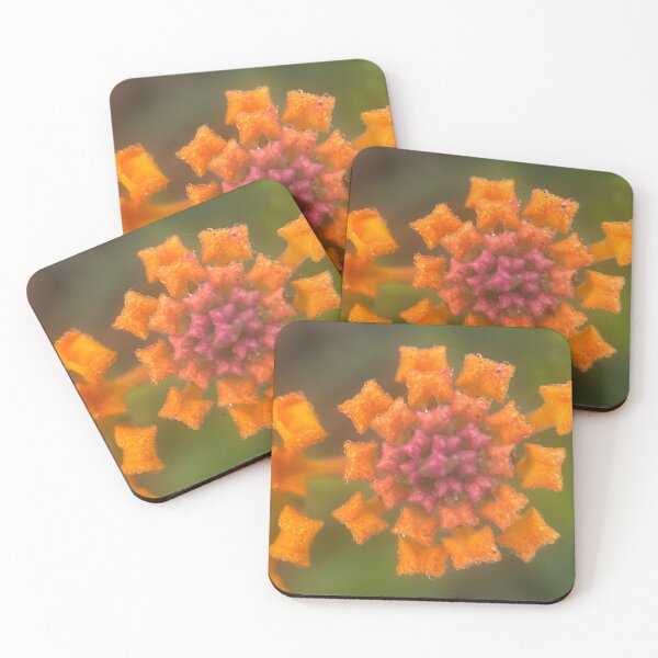 Item preview, Baby Lantana designed and sold by Jason Tompkins.