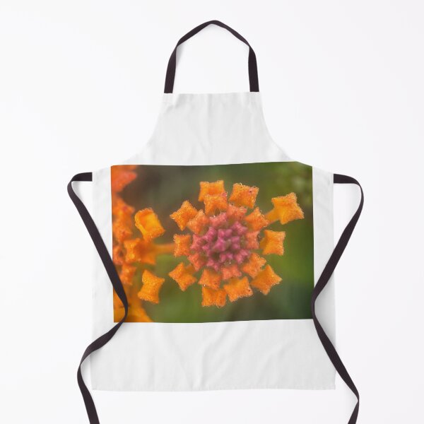 Item preview, Baby Lantana designed and sold by Jason Tompkins.