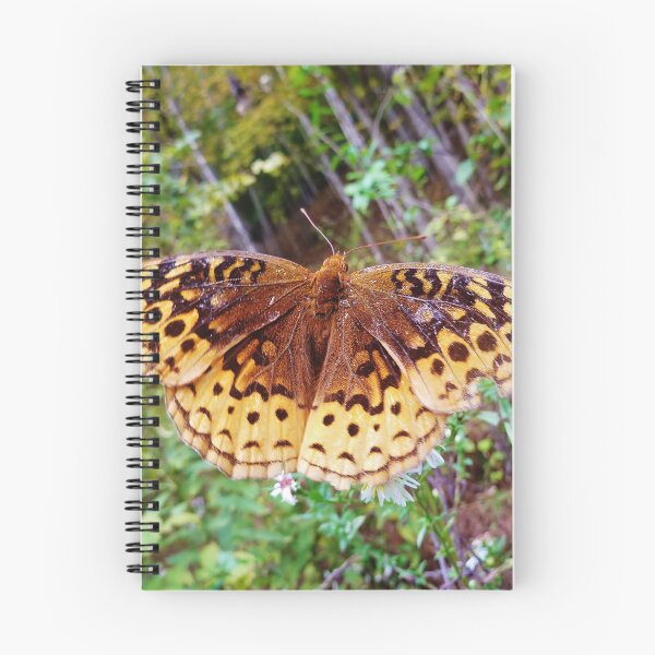 Item preview, FRIENDLY FRITILLARY designed and sold by SpiderMilkshake.