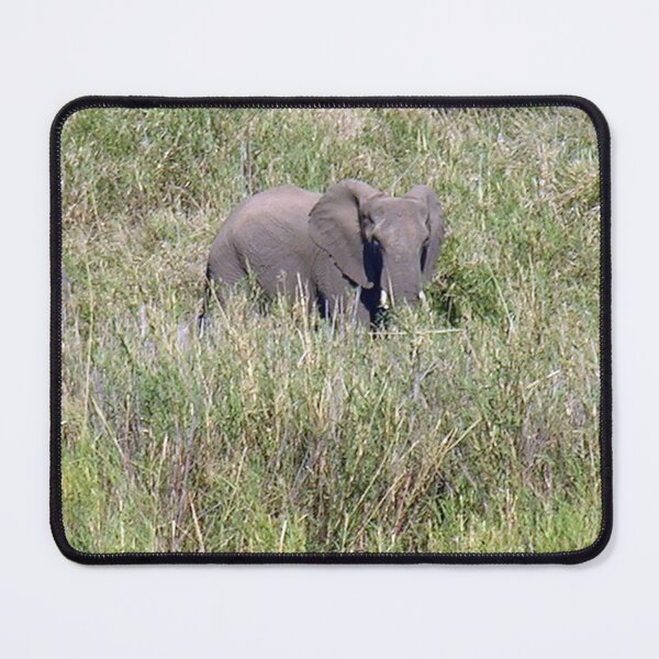 Item preview, African Elephant in the Wild Kruger national park, South Africa designed and sold by worldways.