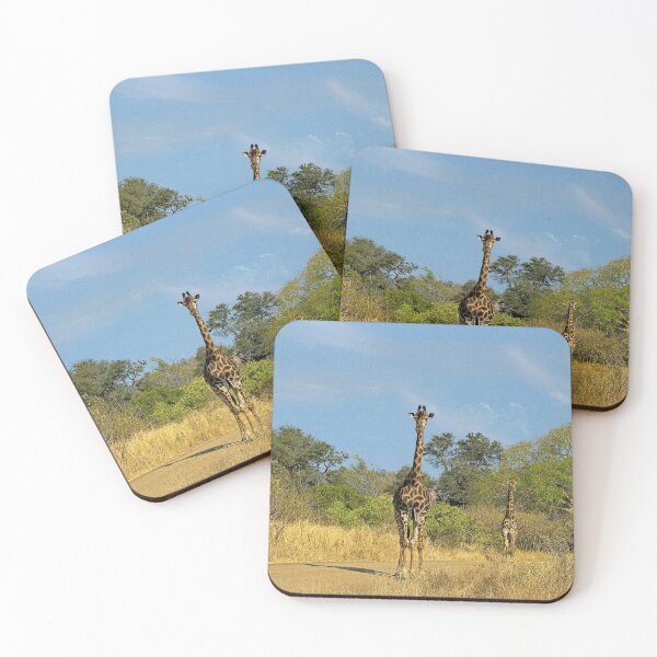 Item preview, Giraffes in the Wild, Kruger national park, South Africa  designed and sold by worldways.