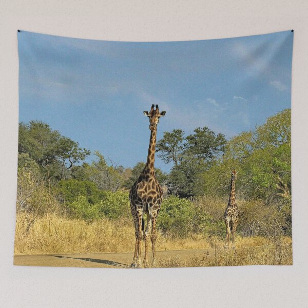 Item preview, Giraffes in the Wild, Kruger national park, South Africa  designed and sold by worldways.