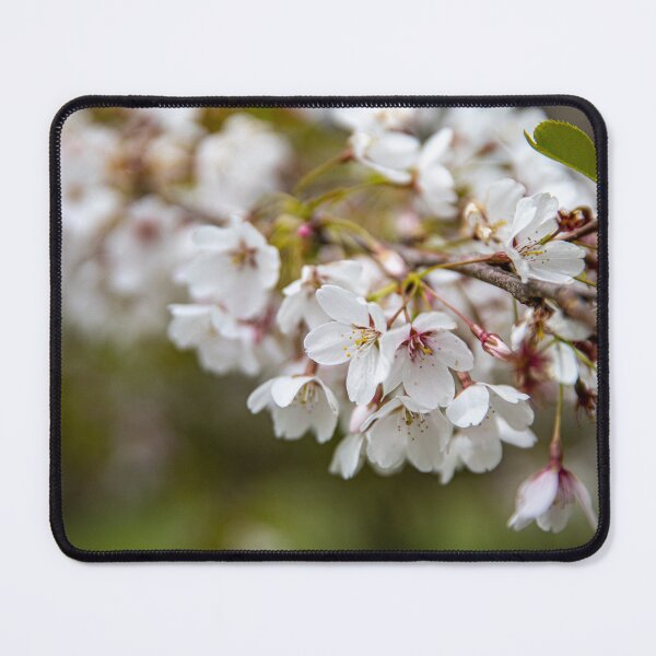 Item preview, Spring Blossoms designed and sold by Daniel's Destinations.