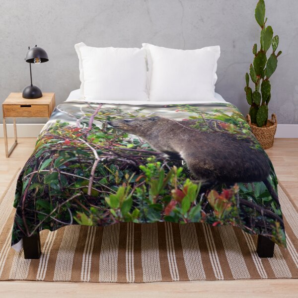 Item preview, Cute Rock Hyrax Table Mountain National Park, South Africa designed and sold by worldways.