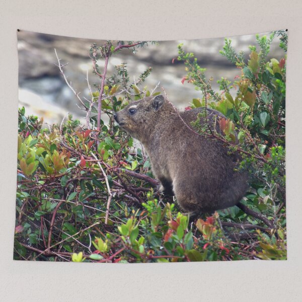 Item preview, Cute Rock Hyrax Table Mountain National Park, South Africa designed and sold by worldways.