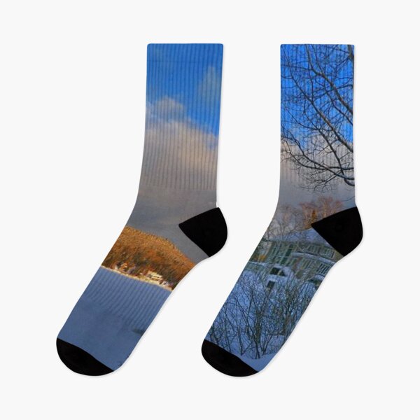 Item preview, Snowy winter day with autumn forest in the background  designed and sold by Durgaa D.