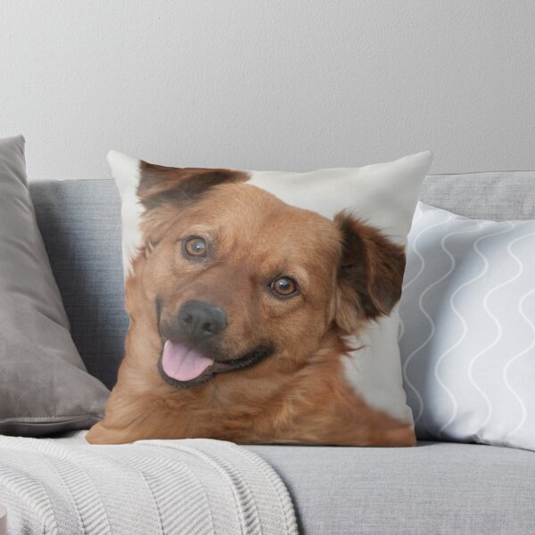 Item preview, Smiling puppy dog, waiting for its friends designed and sold by ReginaldBerenos.