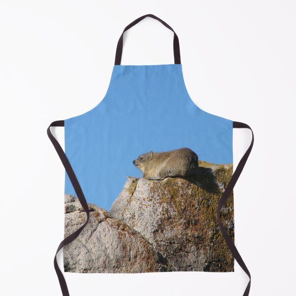 Item preview, Cute Dassie Sitting on Rock, Table Mountain, South Africa designed and sold by worldways.