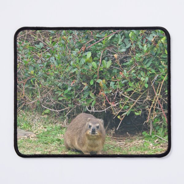 Item preview, Cute Rock Hyrax Dassie Table Mountain, South Africa designed and sold by worldways.