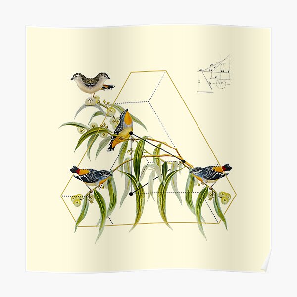 Sacred Geometry of Nature & Birds of Life 3 Poster