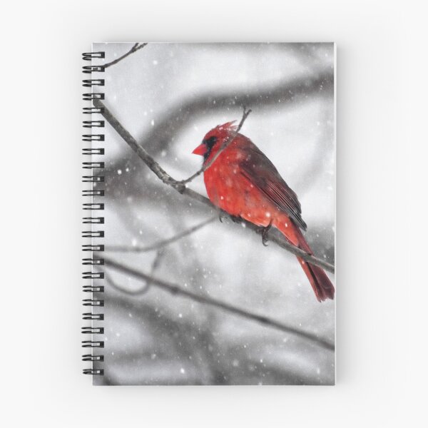 Item preview, Cardinal in the Snow - Pittsfield, MA  designed and sold by Rebecca Joppru Grimsley.