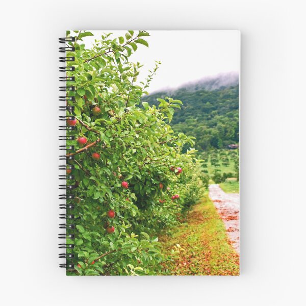 Item preview, Richmond, MA Bartlett's Apple Orchard designed and sold by Rebecca Joppru Grimsley.
