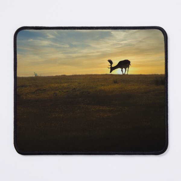 Item preview, Fallow deer at sunset designed and sold by sgrphotography.