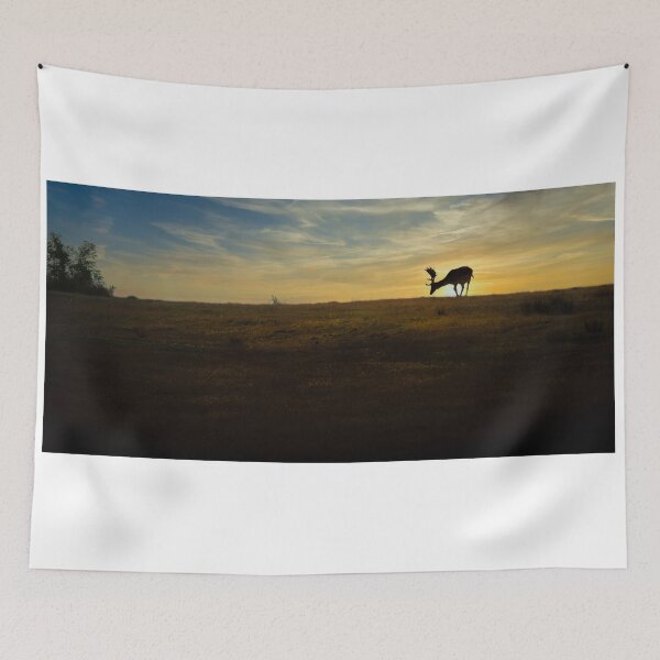 Item preview, Fallow deer at sunset designed and sold by sgrphotography.