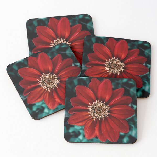 Item preview, Late Bloomer designed and sold by Steve Walser.