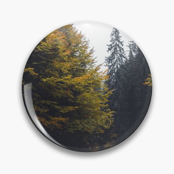 Item preview, Let’s go for a drive here - Beautiful autumn forests  designed and sold by Durgaa D.