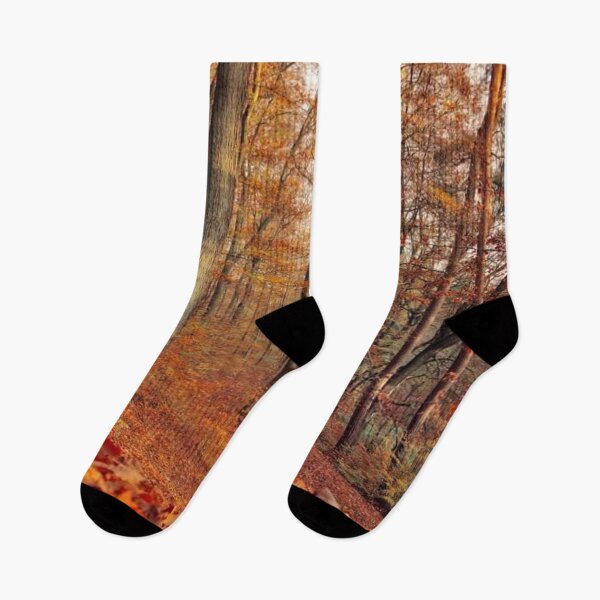 Item preview, Beautiful autumn forests  designed and sold by Durgaa D.