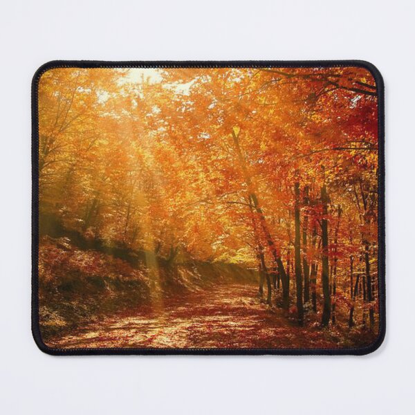 Item preview, Loving autumn- Beautiful autumn forests designed and sold by Durgaa D.