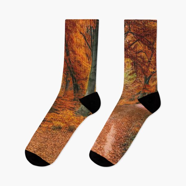 Item preview, Would you go for a walk here - Beautiful autumn forests  designed and sold by Durgaa D.