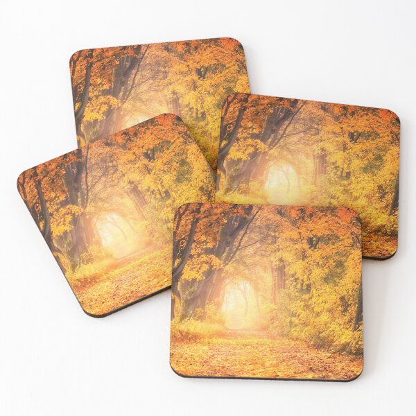 Item preview, Would you go for a walk here - Beautiful autumn forests  designed and sold by Durgaa D.