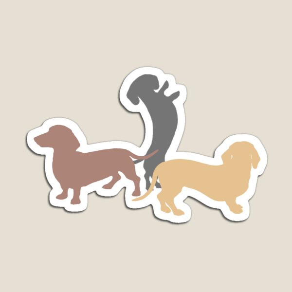 Dachshunds! Magnet