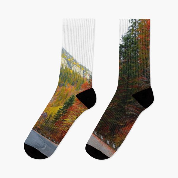 Item preview, Let’s drive here - Beautiful autumn forests  designed and sold by Durgaa D.