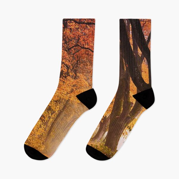 Item preview, Walking through this Beautiful autumn forests  designed and sold by Durgaa D.