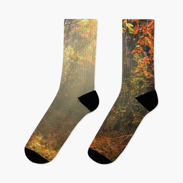 Item preview, Beautiful autumn forests  designed and sold by Durgaa D.