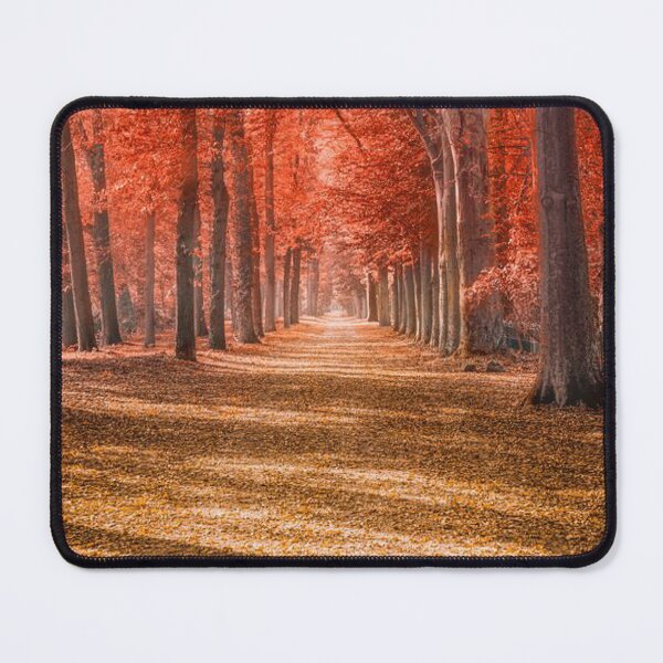 Item preview, Let’s go for a walk- Beautiful autumn forests designed and sold by Durgaa D.